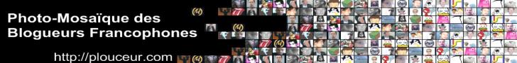 Photo-Mozaïque des Blogueurs Francophones